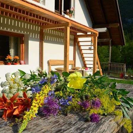 Bovec Home At Three Samoyeds Soca Exterior photo