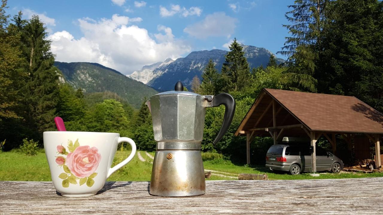 Bovec Home At Three Samoyeds Soca Exterior photo