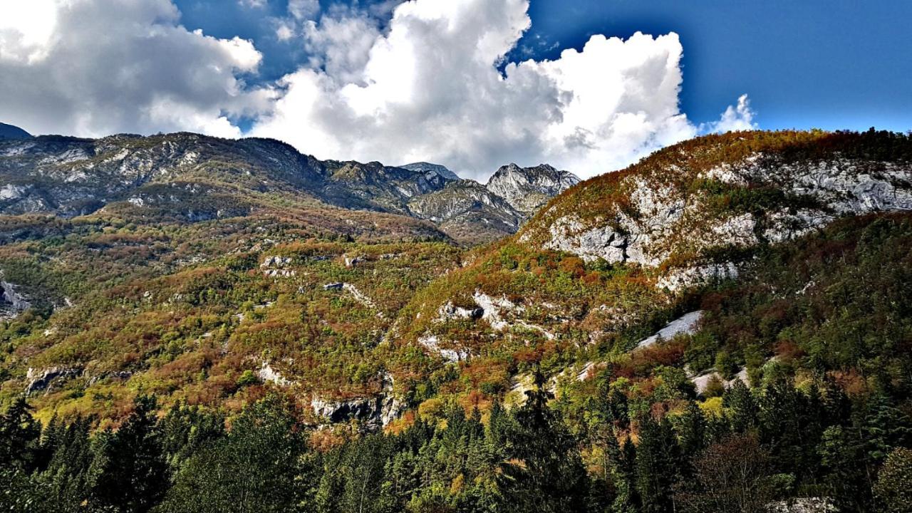 Bovec Home At Three Samoyeds Soca Exterior photo
