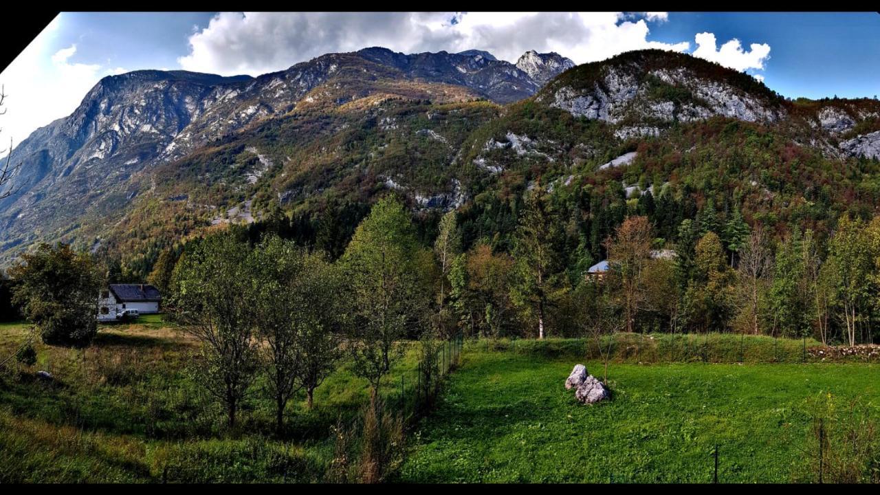 Bovec Home At Three Samoyeds Soca Exterior photo