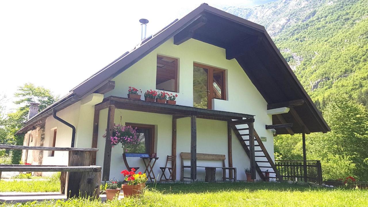 Bovec Home At Three Samoyeds Soca Exterior photo