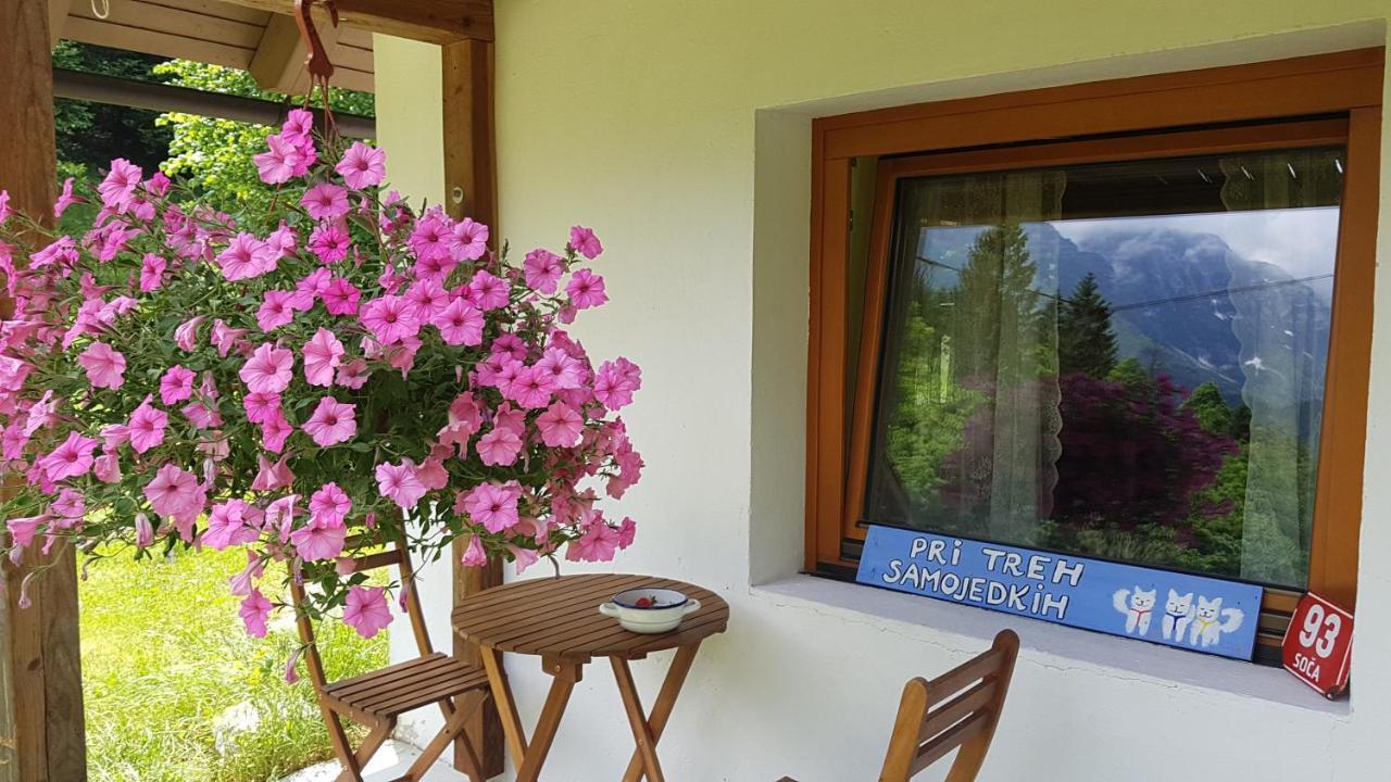 Bovec Home At Three Samoyeds Soca Exterior photo