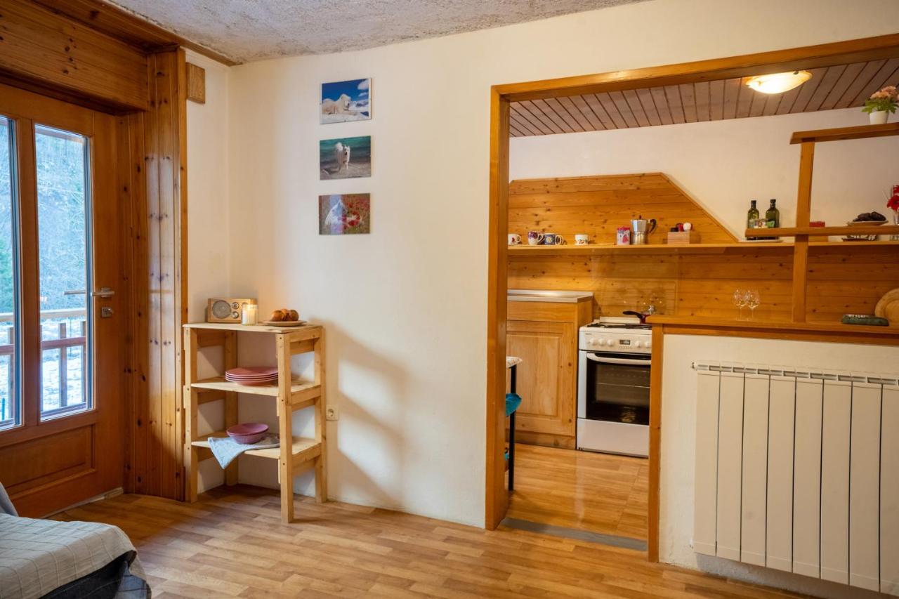 Bovec Home At Three Samoyeds Soca Exterior photo