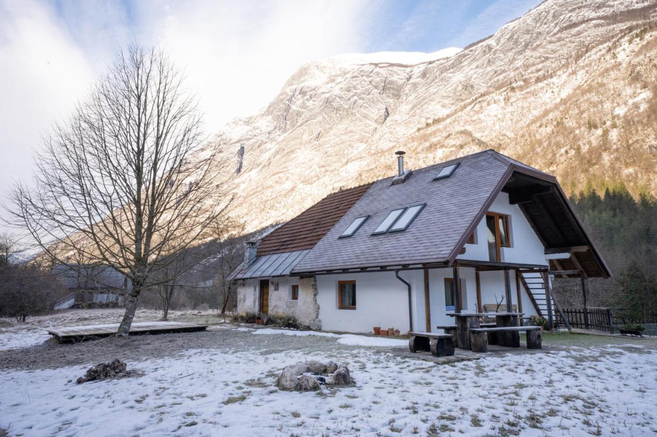 Bovec Home At Three Samoyeds Soca Exterior photo
