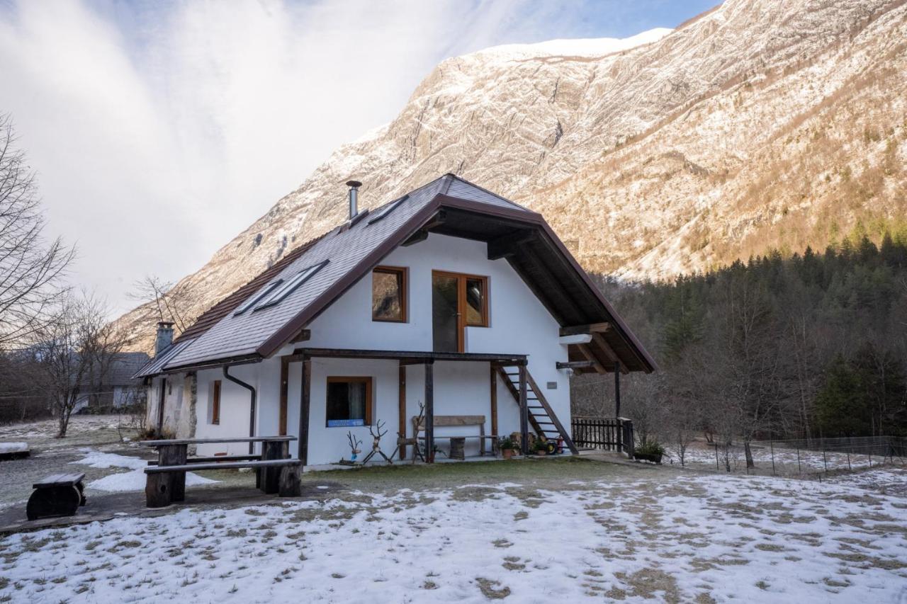 Bovec Home At Three Samoyeds Soca Exterior photo
