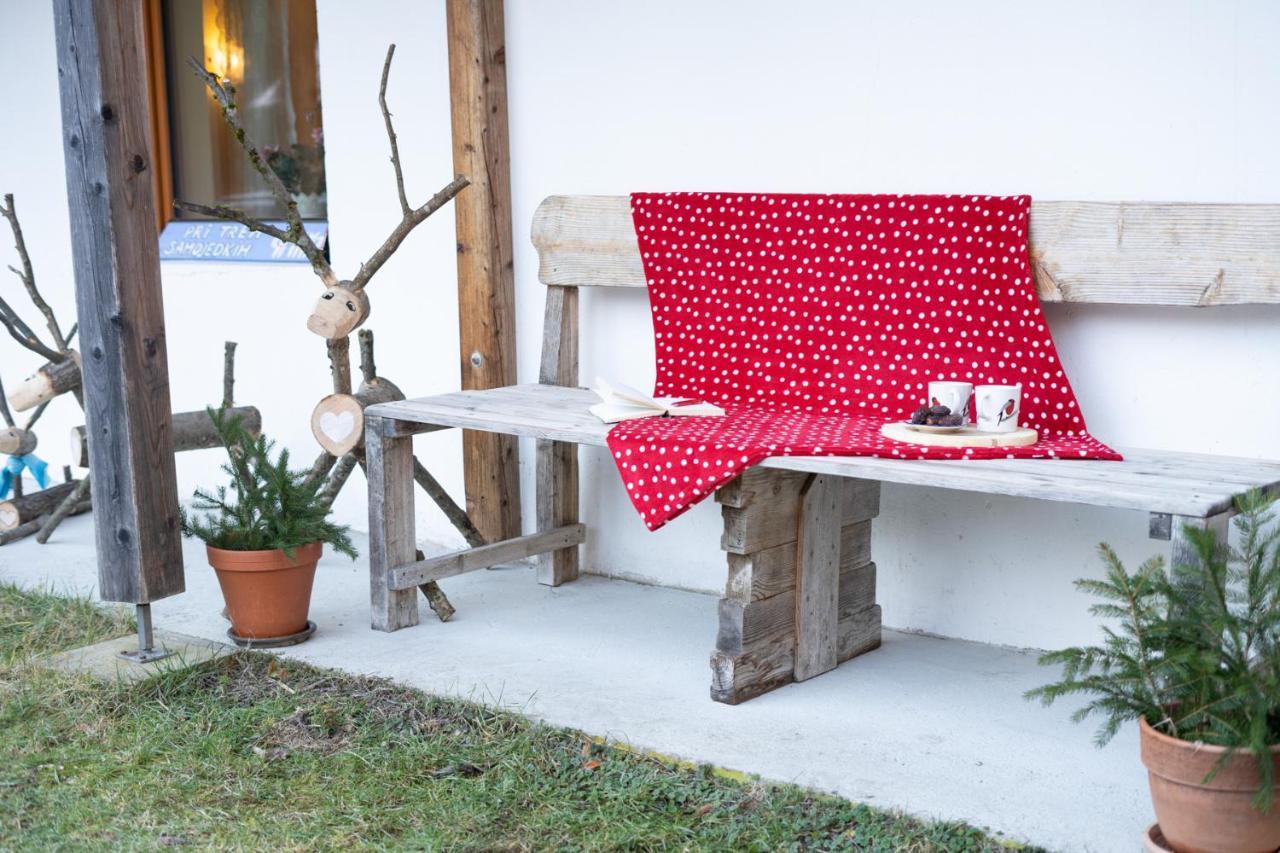 Bovec Home At Three Samoyeds Soca Exterior photo