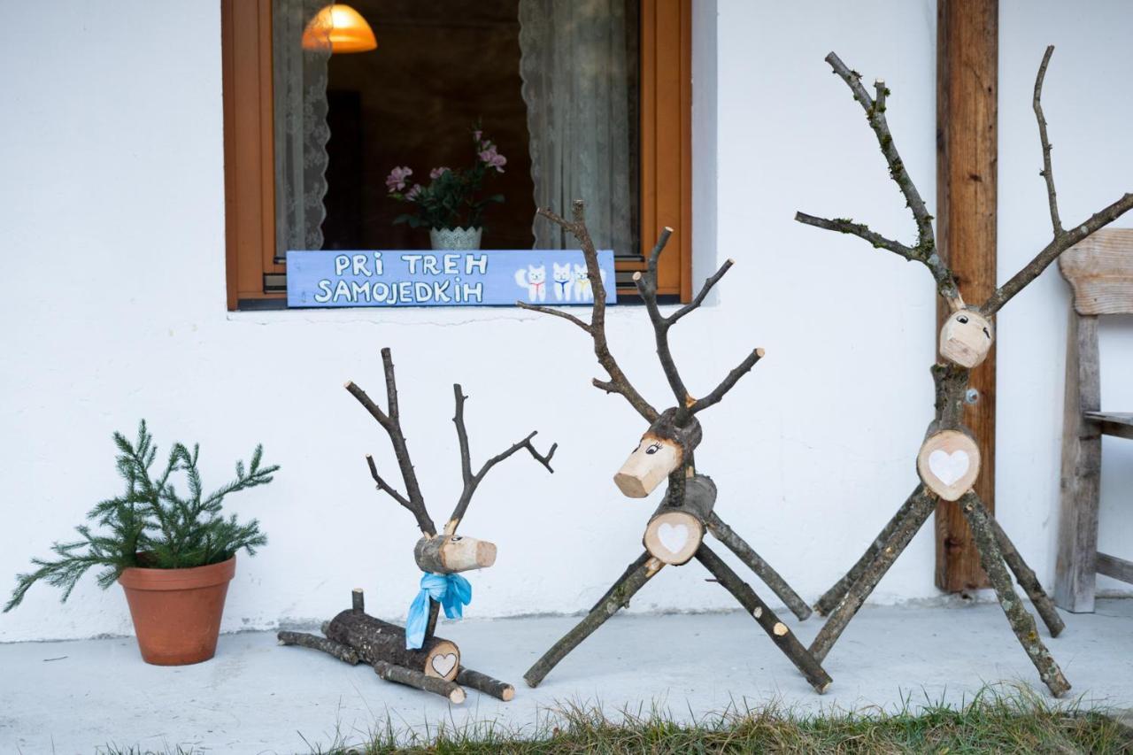 Bovec Home At Three Samoyeds Soca Exterior photo
