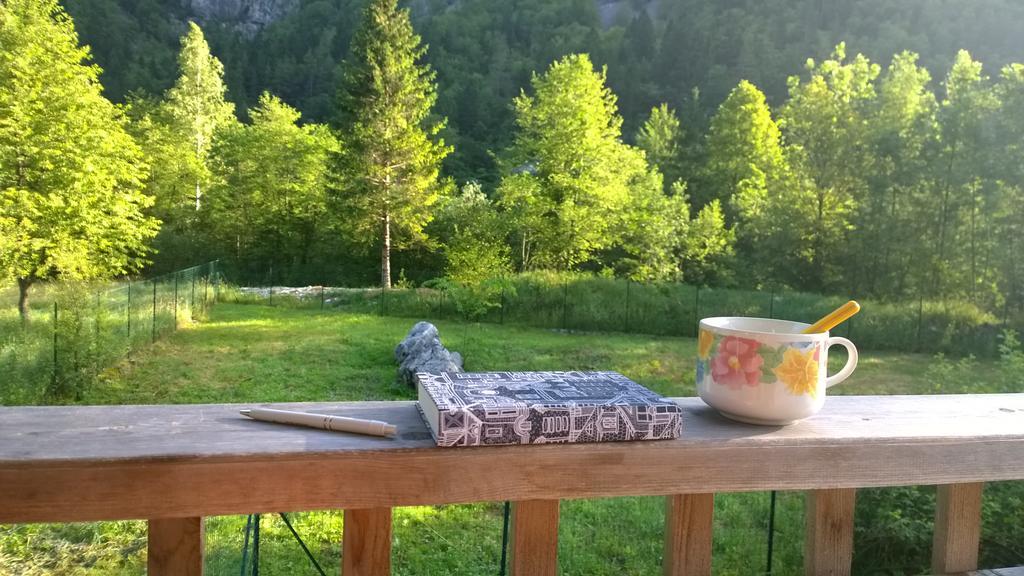 Bovec Home At Three Samoyeds Soca Exterior photo