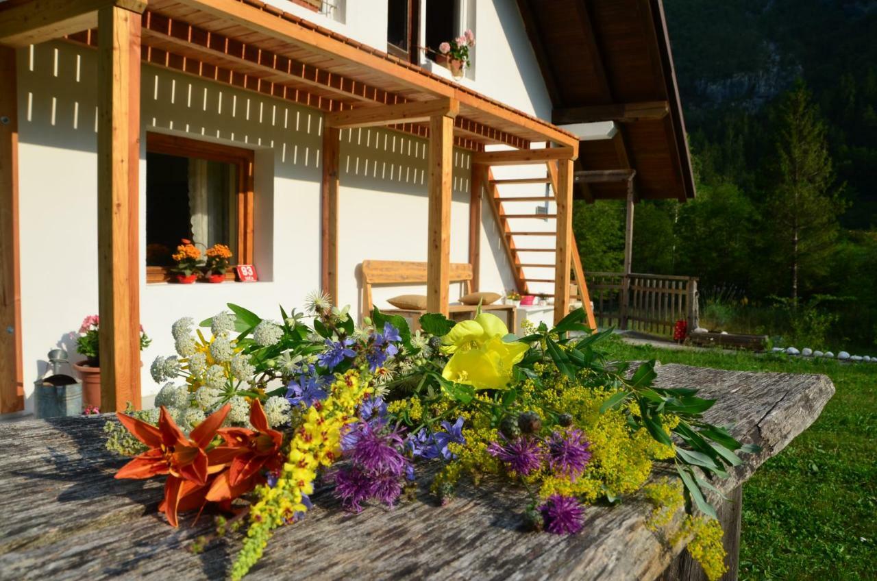 Bovec Home At Three Samoyeds Soca Exterior photo