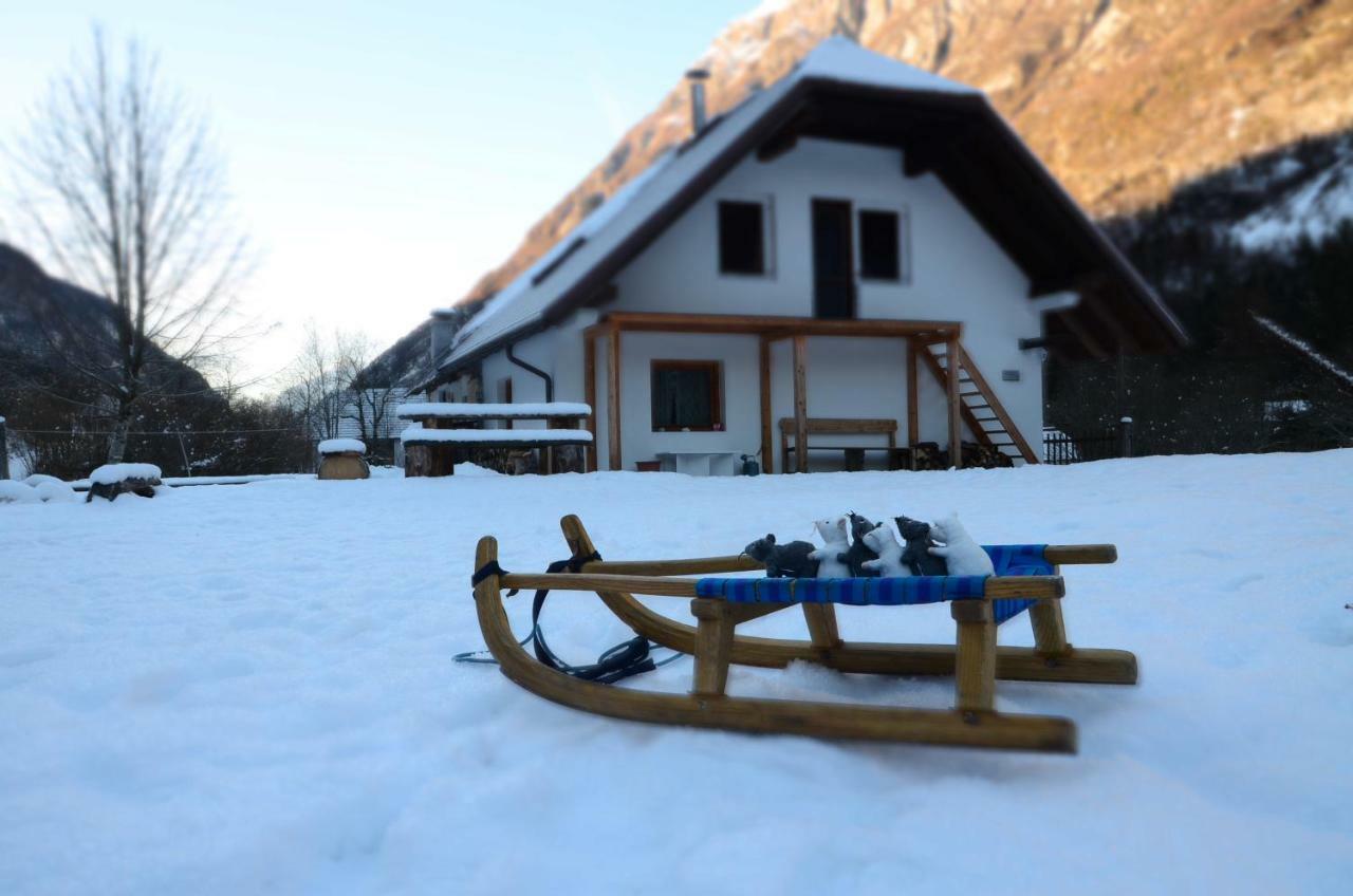 Bovec Home At Three Samoyeds Soca Exterior photo