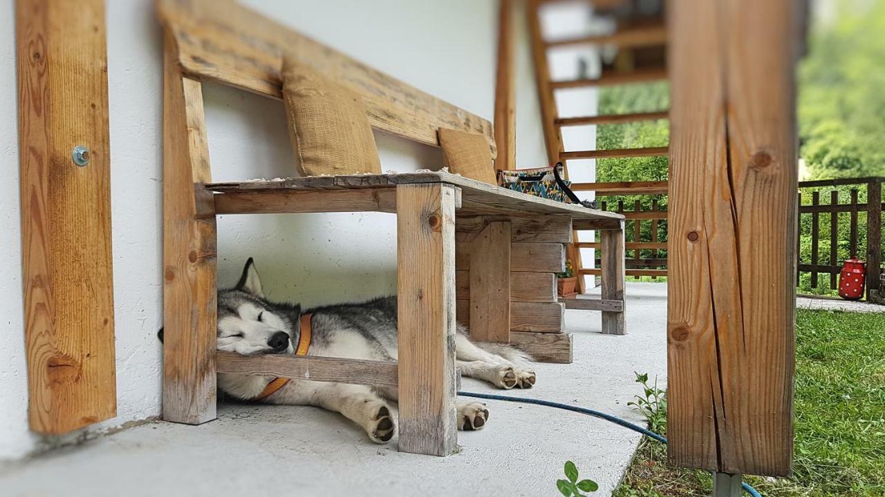 Bovec Home At Three Samoyeds Soca Exterior photo