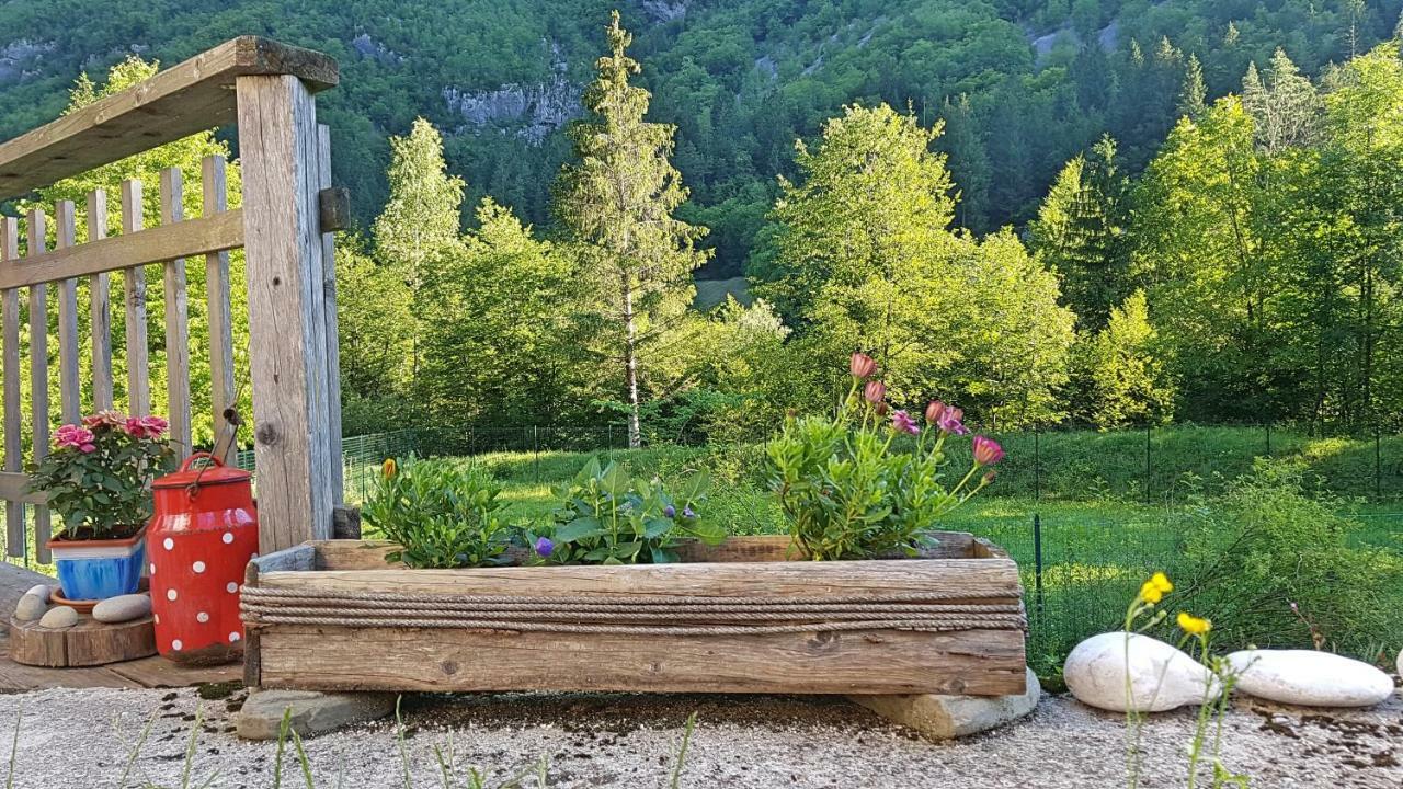 Bovec Home At Three Samoyeds Soca Exterior photo