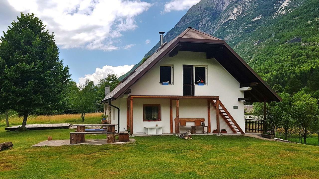 Bovec Home At Three Samoyeds Soca Exterior photo